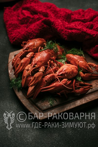 Раковарня в Сочи