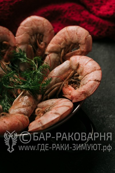 Раковарня в Сочи