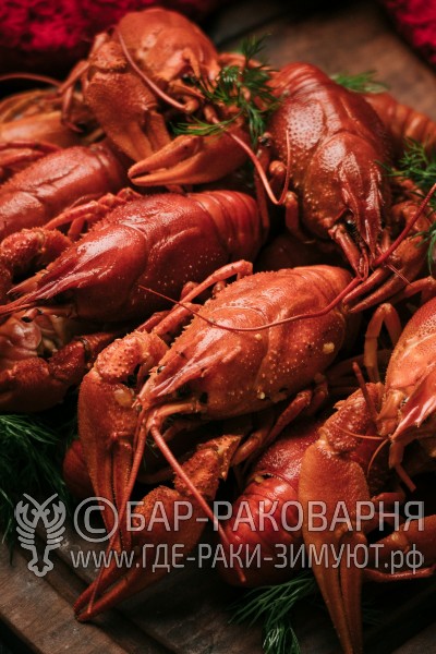 Раковарня в Сочи