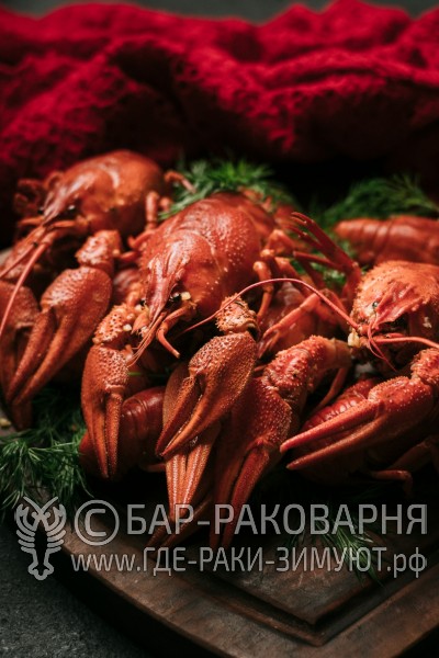 Раковарня в Сочи