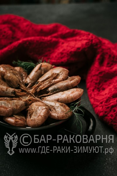 Раковарня в Сочи