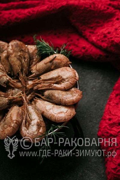 Раковарня в Сочи