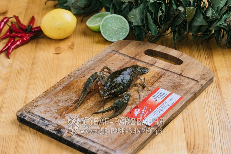 Раки среднекрупные (18-23 шт. в кг.)